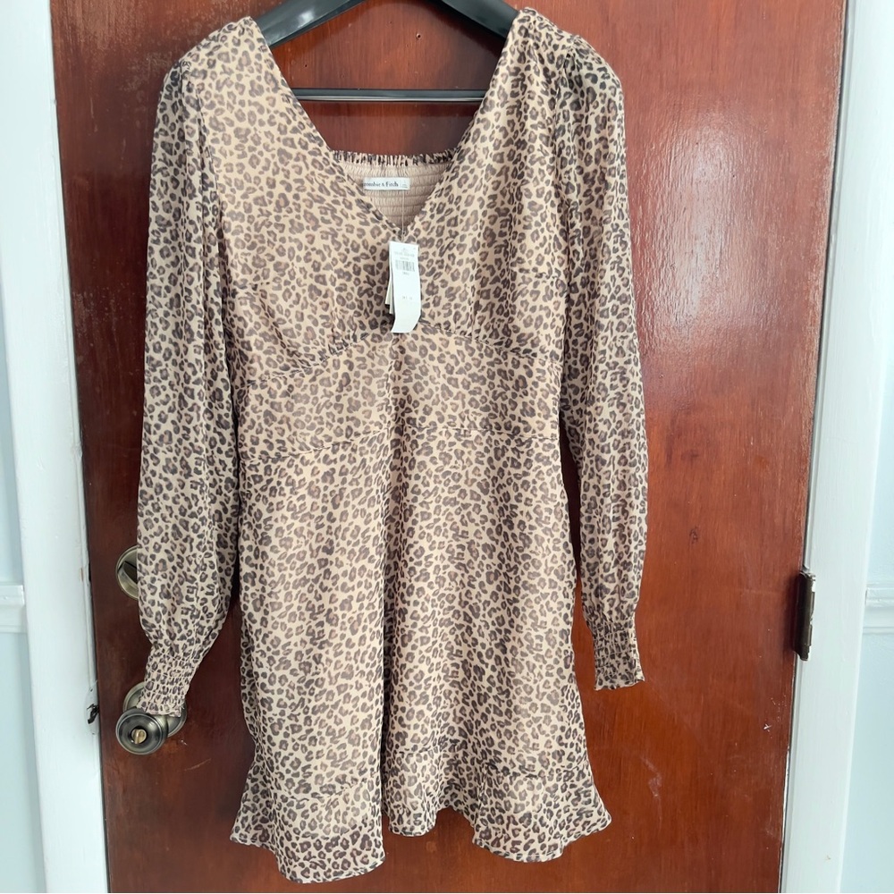 Abercrombie & Fitch Leopard print mini dress.